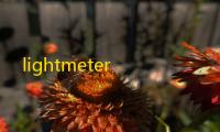 lightmeter